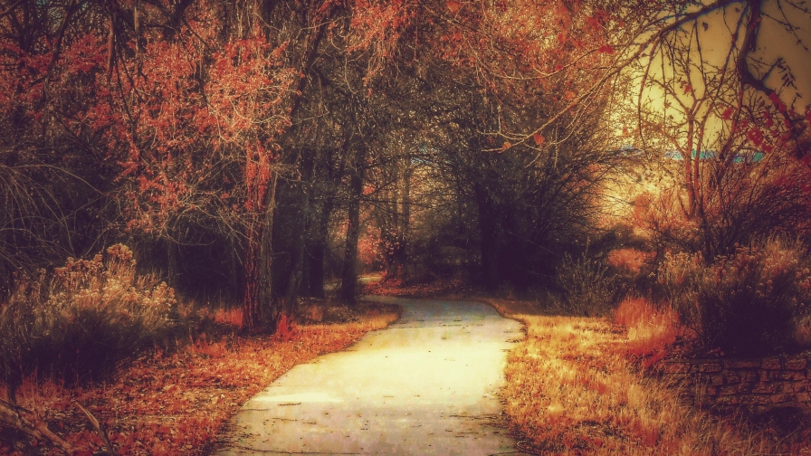 Road in Old Autumn Forest