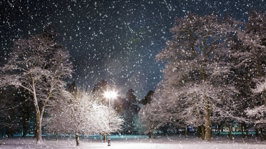 Snowing in City Winter Garden