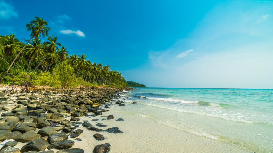 Tropical Beach and Pure Ocean