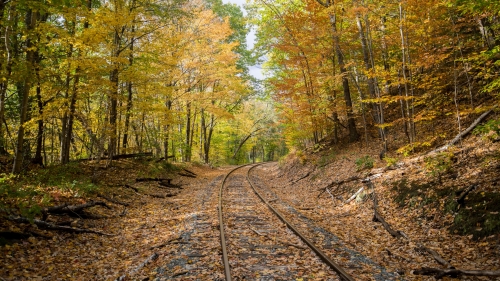 Abandoned Rails in Autumn Forest