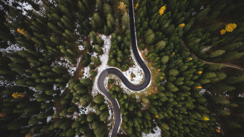 Aerial Photography of Beautiful Coniferous Forest and Road