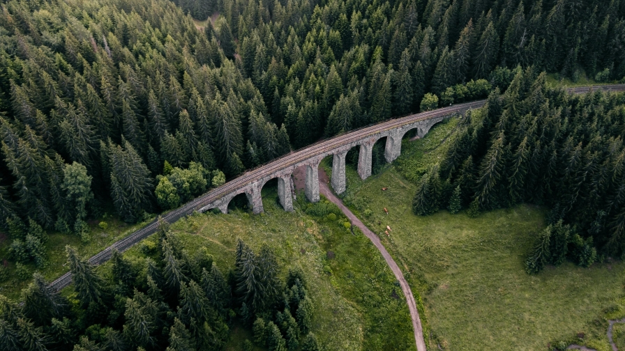 Aerial View Bridge