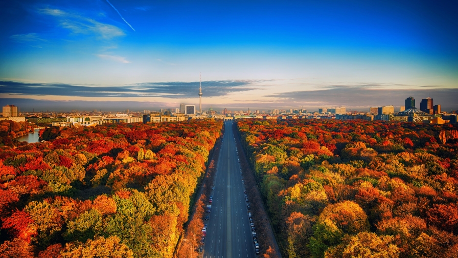 Amazing autumn garden and beautiful big city