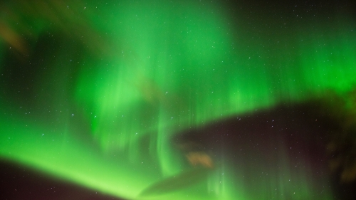 Amazing Green Northern Lights