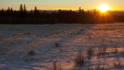 Amazing Snowed Meadow and Sunset