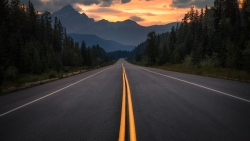 Asphalt on Road in Beautiful Forest