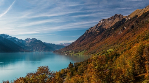 Autumn Forest and Lake