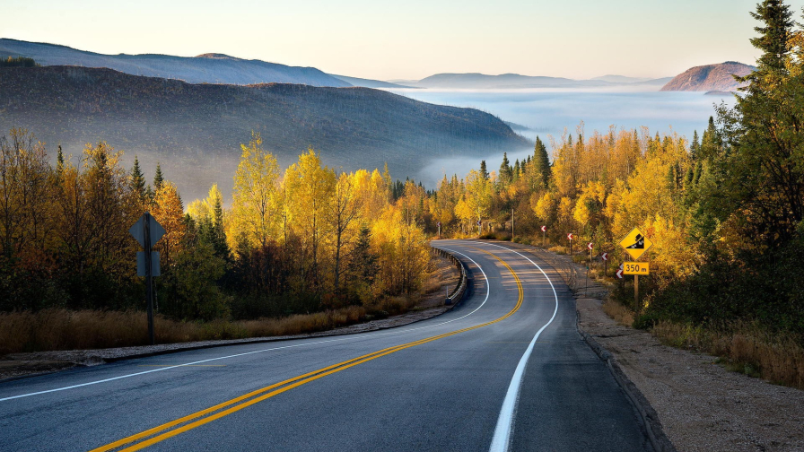 Autumn Forest and Road