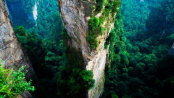 Avatar Hallelujah Mountain in China