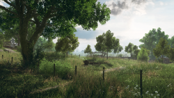 Battlefield 5 Beautiful Green Field and Fence