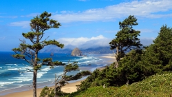 Beach Coastline Beautiful High Trees