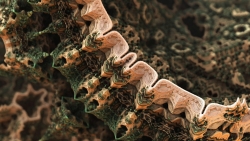 Beautiful 3D Abstract Like Rocks