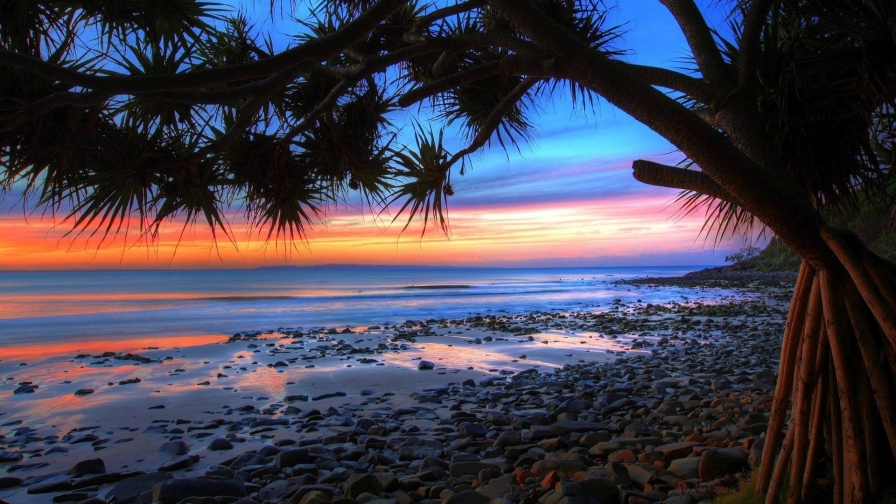 Beautiful Amazing Sunset Beach and Trees