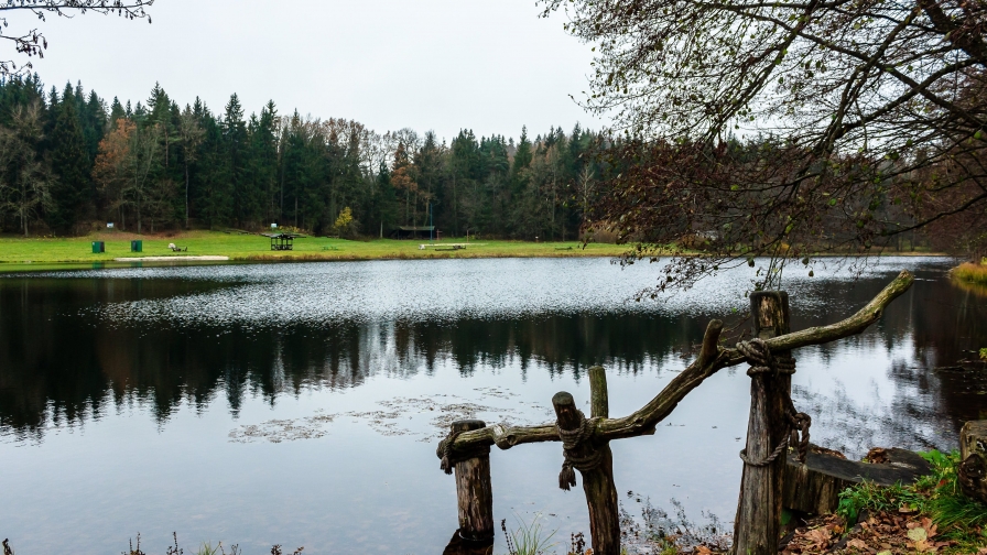 Beautiful Autumn Forest and Lake