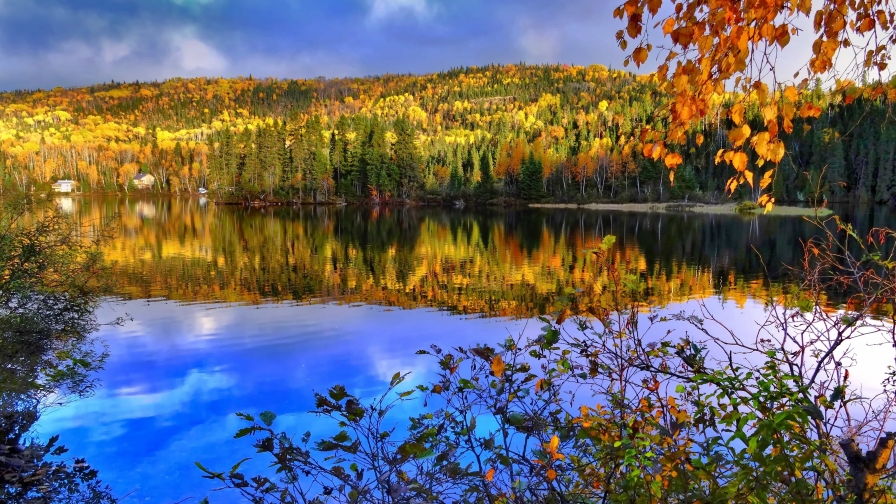 Beautiful Autumn Forest and Pure Lake