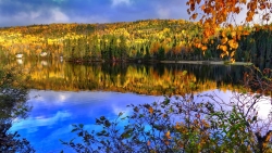 Beautiful Autumn Forest and Pure Lake