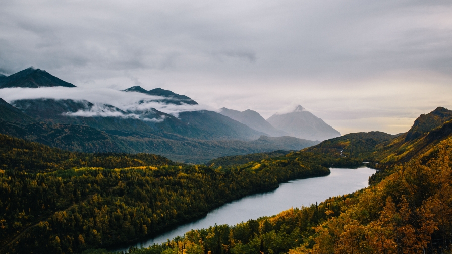 Beautiful autumn forest and river in valley