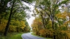 Beautiful Autumn Forest and Road