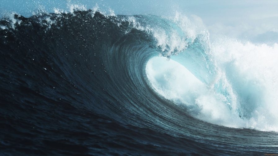 Beautiful big wave in ocean