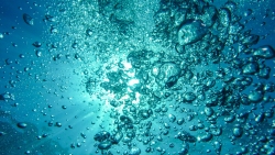 Beautiful Bubbles in Water