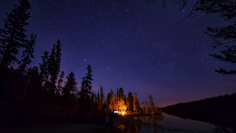 Beautiful Campfire in Night Forest