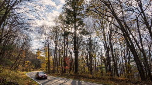 Beautiful Car on Road in Autumn Forest