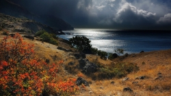 Beautiful Coast and Rocks