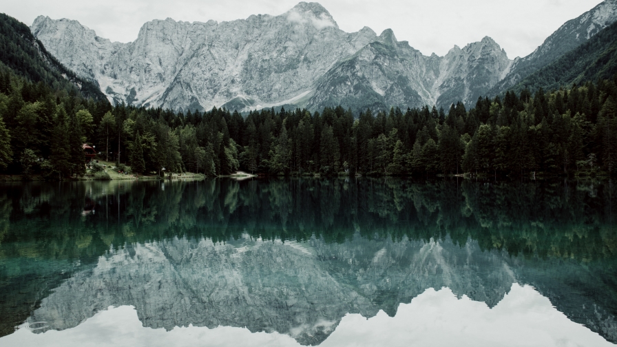 Beautiful Crystal Pure Lake and Forest