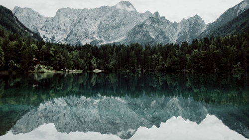 Beautiful Crystal Pure Lake and Forest