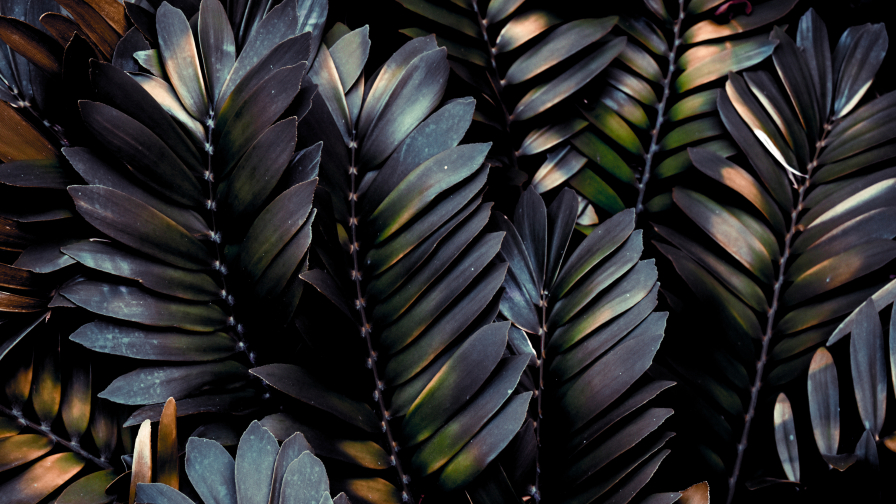 Beautiful Dark Metal Leaves