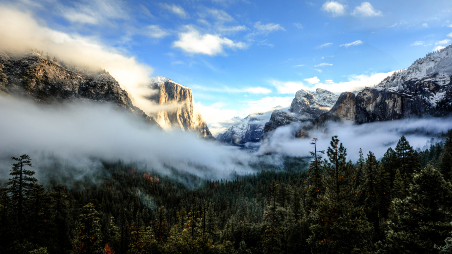 Beautiful foggy forest and mountains