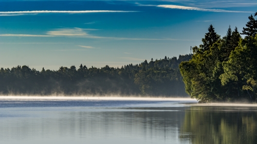 Beautiful Forest and Lake with Reflection