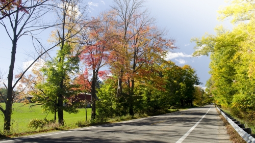 Beautiful Forest and Road