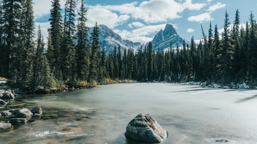 Beautiful Frozen Lake and Forest in Valley