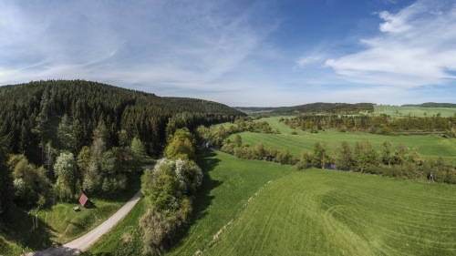 Beautiful Green Field and Forest