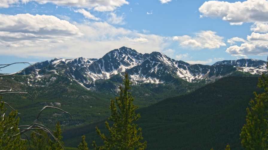 Beautiful Green Forest and Mountains Peaks