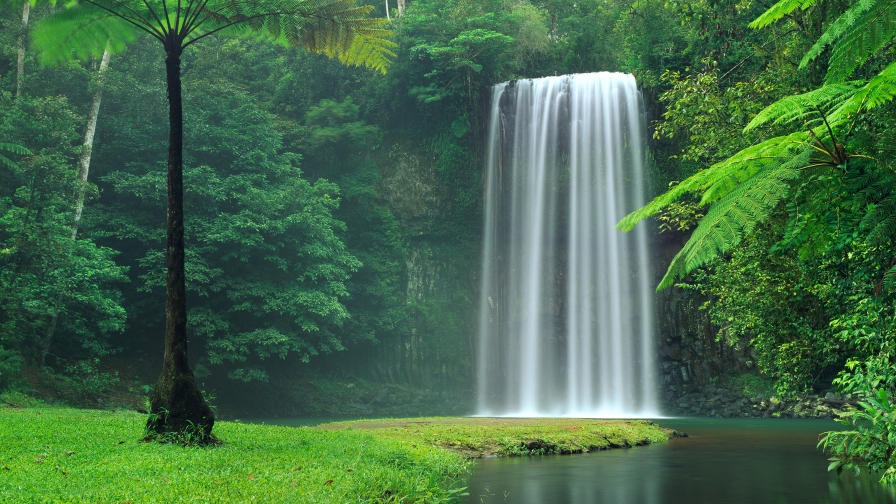 Beautiful Green Forest and Waterfall in Yosemite National Park