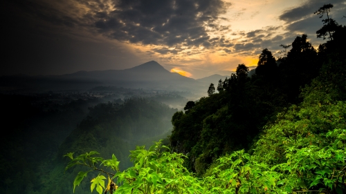 Beautiful Green Forest Fog and Peaks