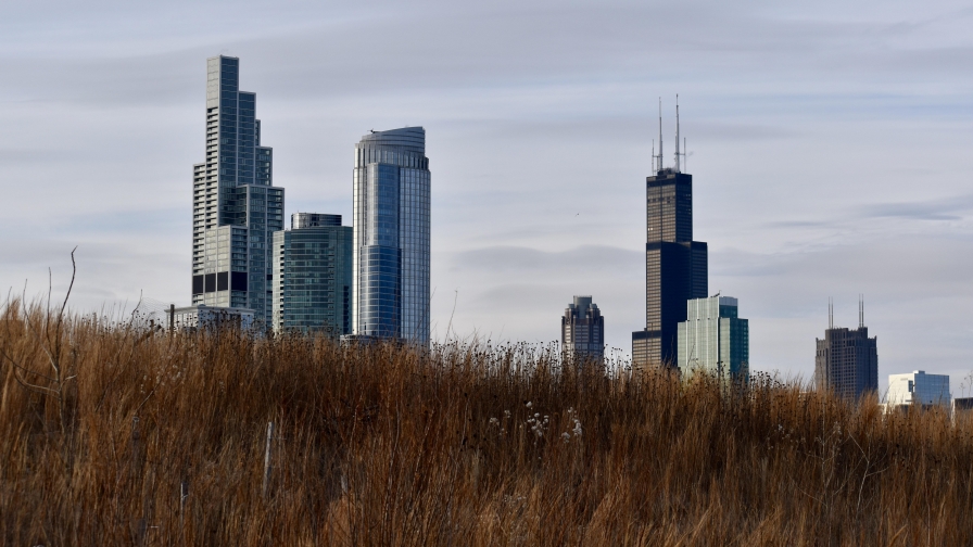 Beautiful High Skyscrapers in Grass