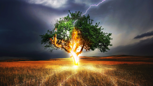 Beautiful Lone Tree and Lightning
