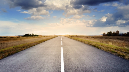 Beautiful Long Road in Yellow Field