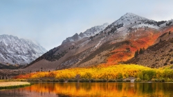 Beautiful Mountain Peak and Yellow Autumn Forest