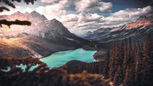 Beautiful Mountain Valley and Old Autumn Forest