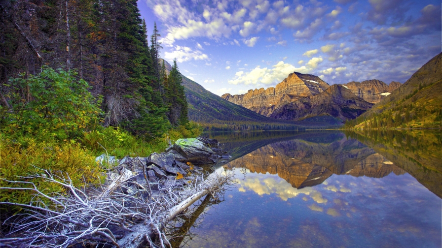 Beautiful Mountain Valley Lake with Pure Lake and Old Forest