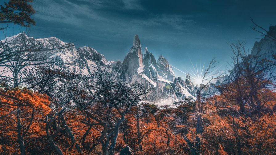 Beautiful Mountains and Autumn Forest