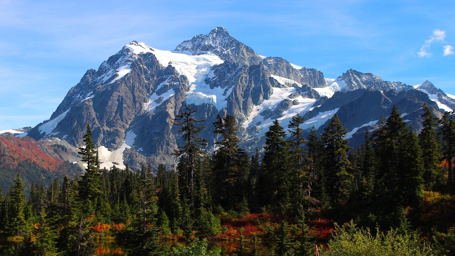 Beautiful mountains and green pine forest