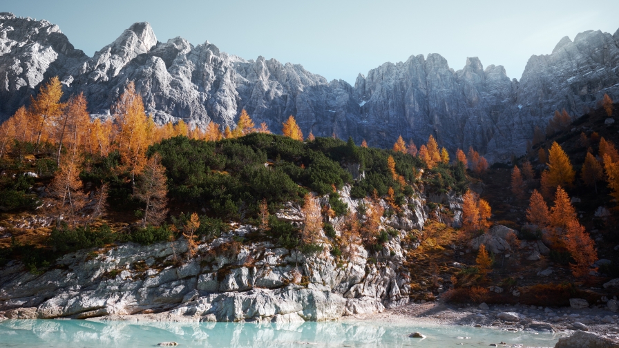 Beautiful Mountains and Old Autumn Forest