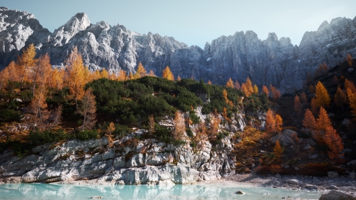 Beautiful Mountains and Old Autumn Forest