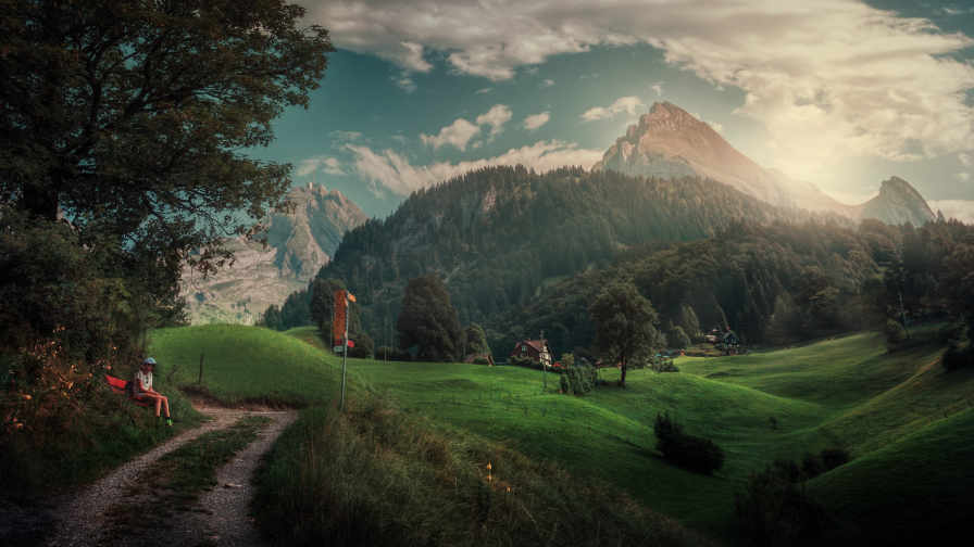 Beautiful Mountains Forest and Path