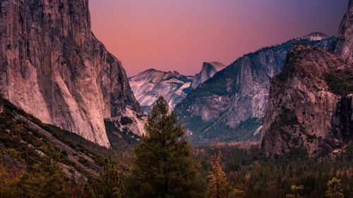 Beautiful Mountains Forest and Purple Sunset